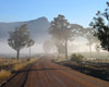 Explore the wonders of Mudgee and Surrounds